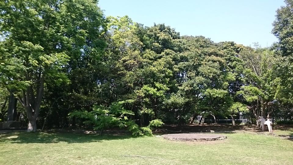 鷺沼城