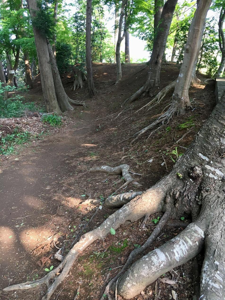 成東城