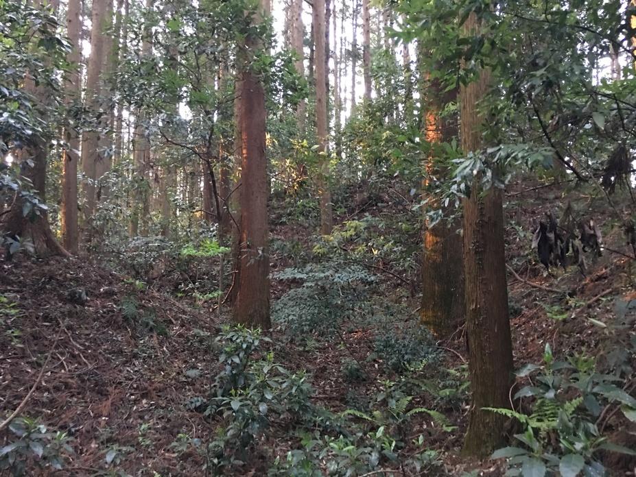 大宮城