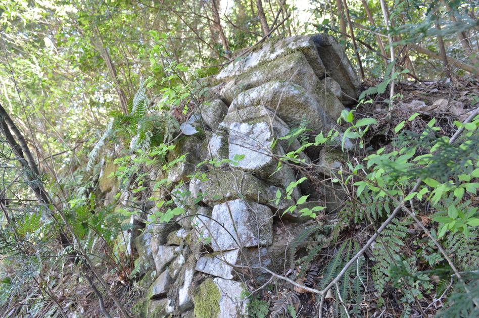黒川城