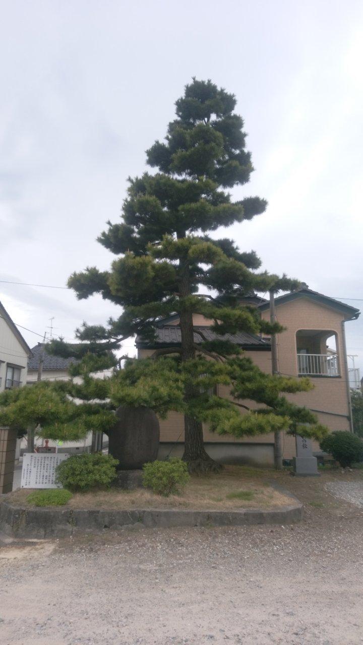 魚津城