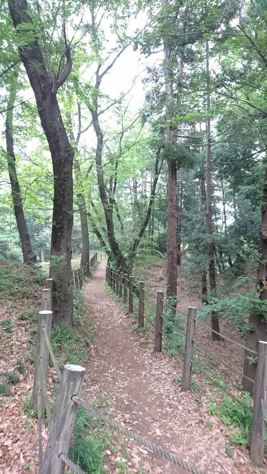 滝の城
