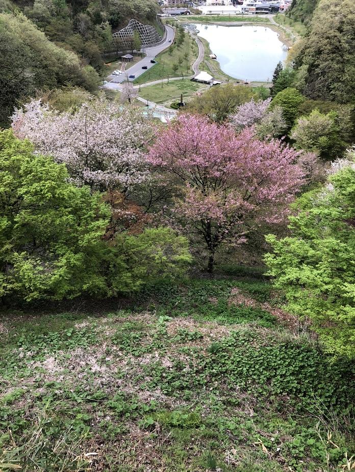 天童城