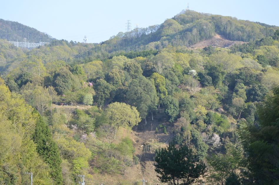 寺山城