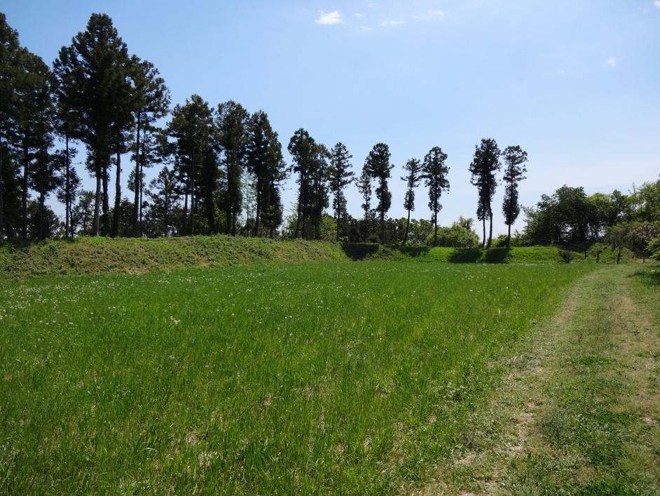 白井城