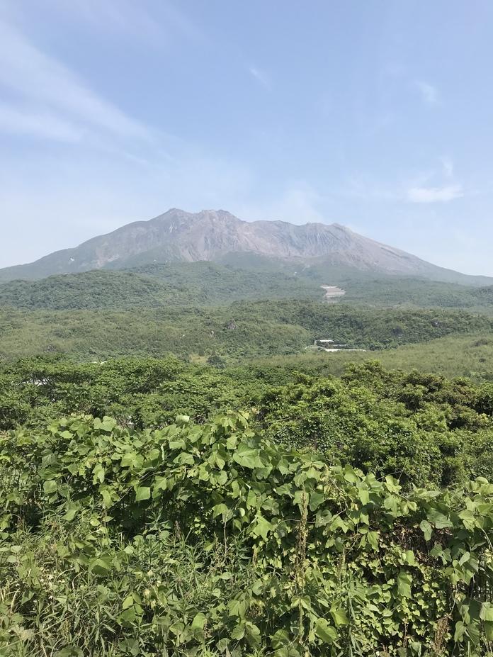 横山城