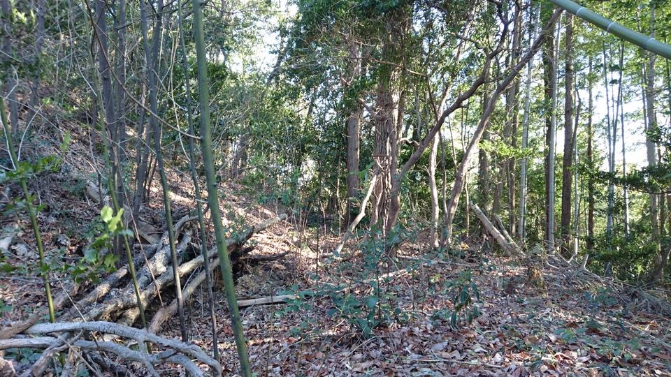 北田原城