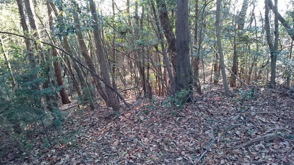 北田原城