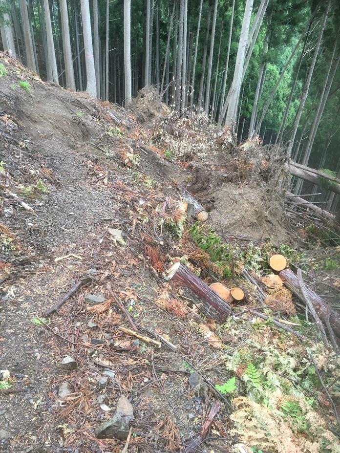 周山城