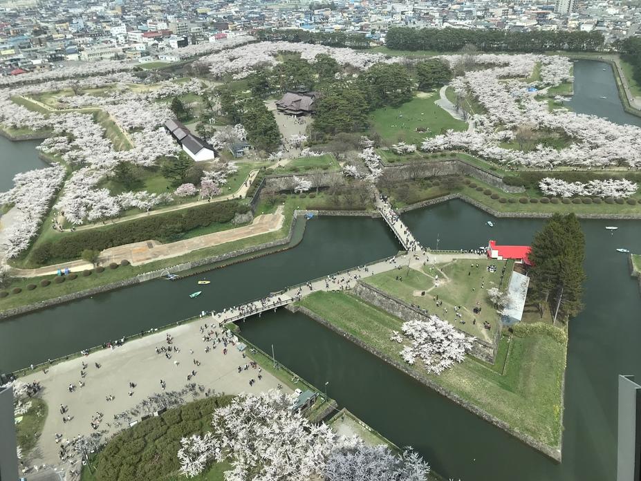 五稜郭