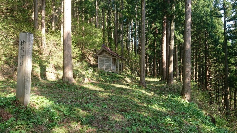 金山城