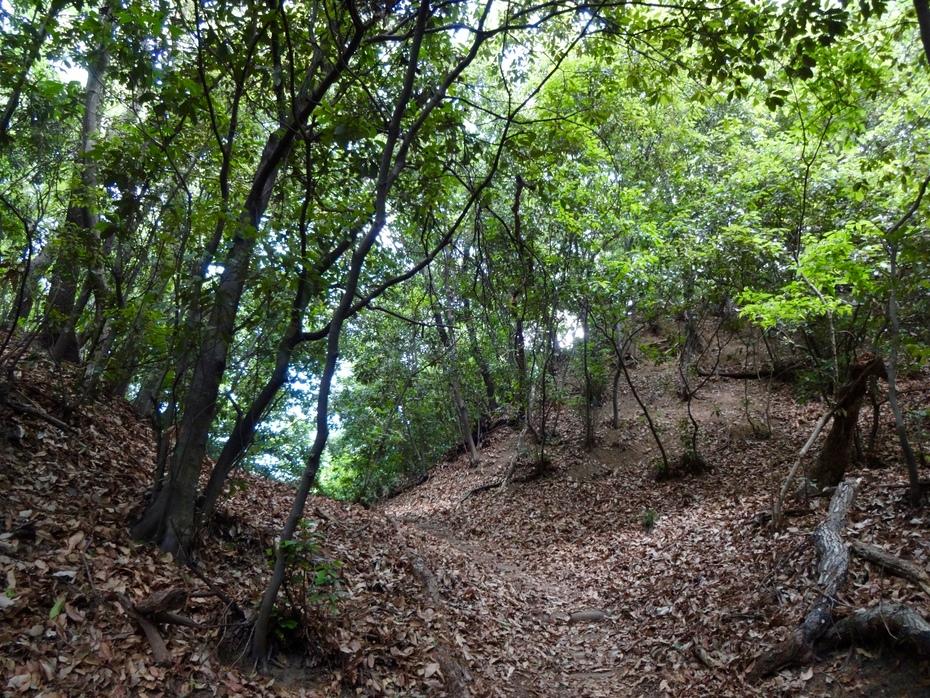 山名城