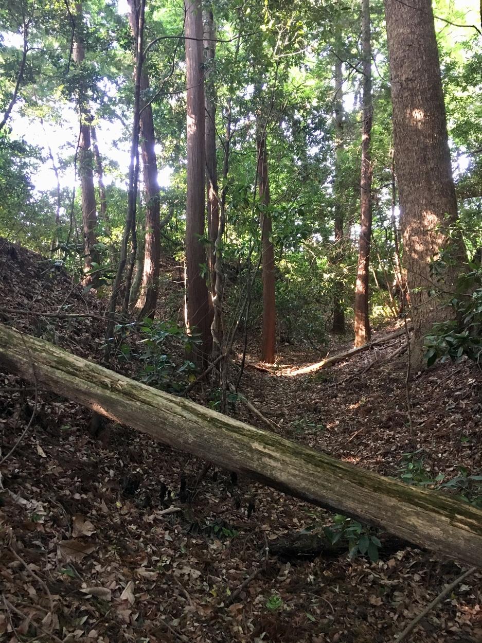 犬飼城