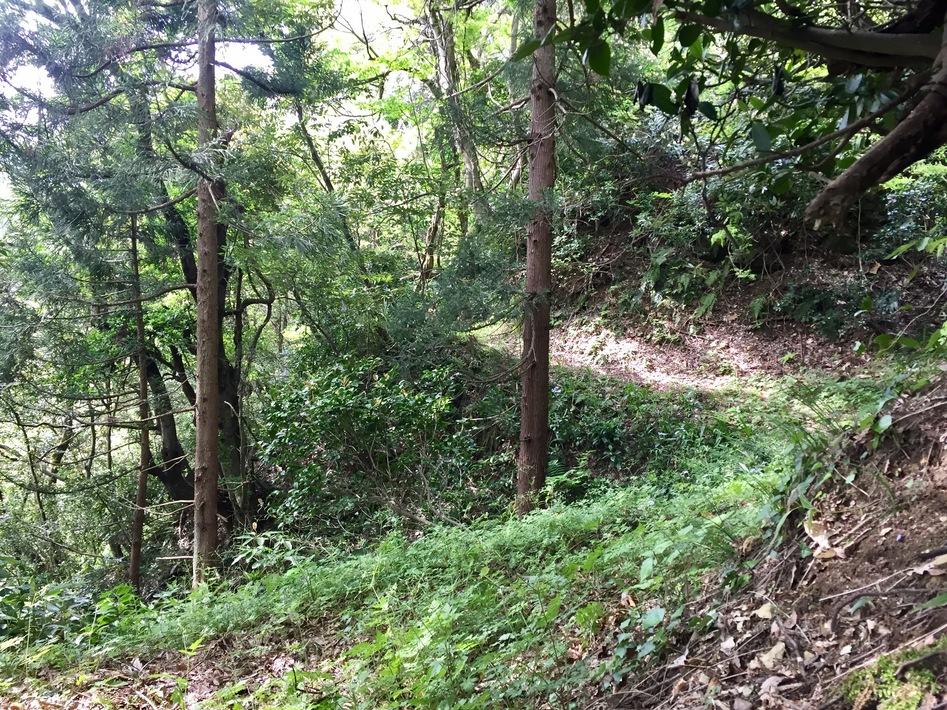 城生城