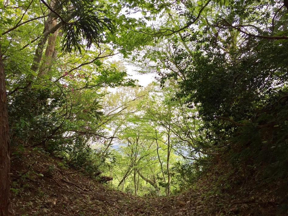 尾畑城