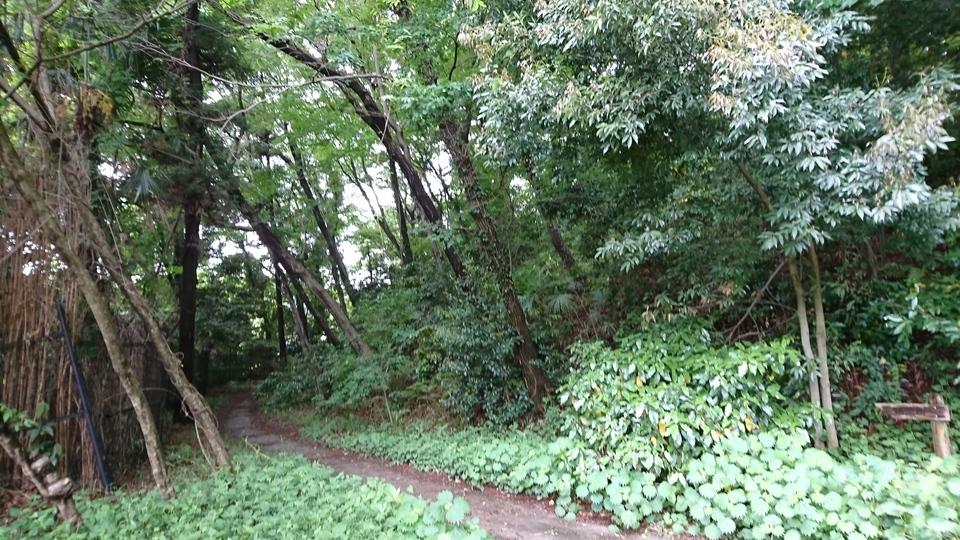 深大寺城
