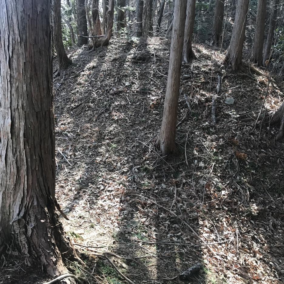 矢筈城