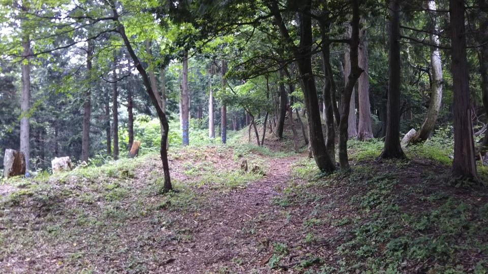 田上山城