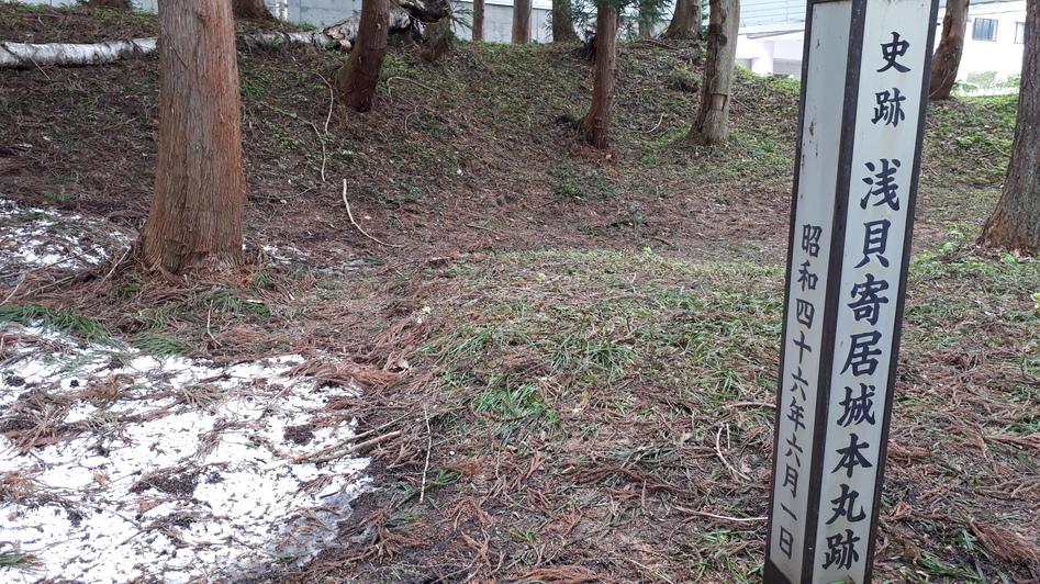 浅貝寄居城