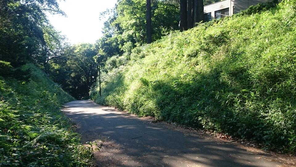 松戸城