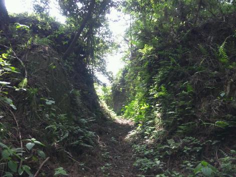 米津城