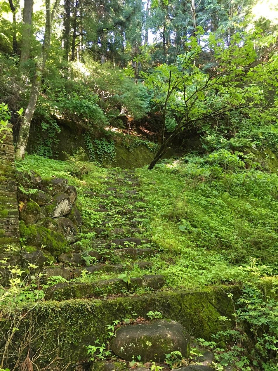 桜洞城