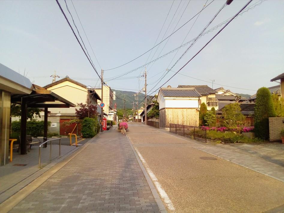 柳本城