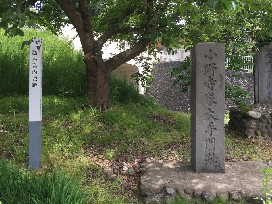 西馬音内城