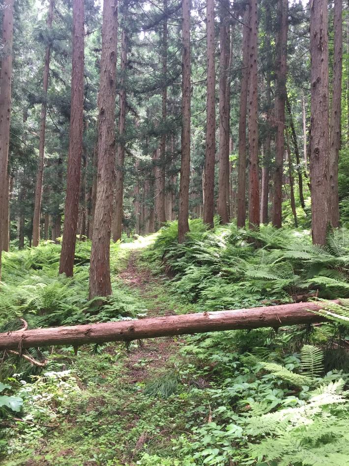 西馬音内城