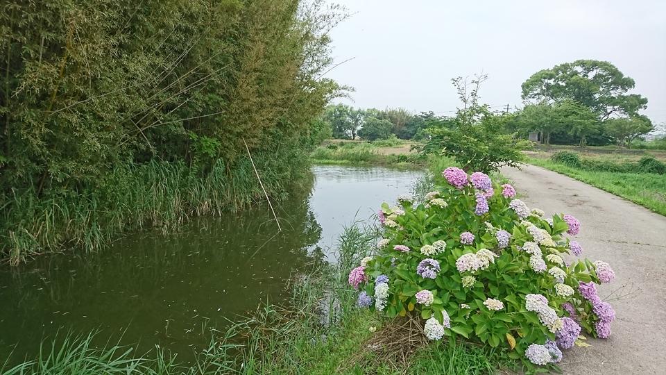 直鳥城