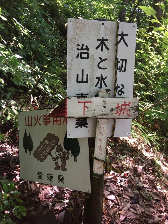 幻城
