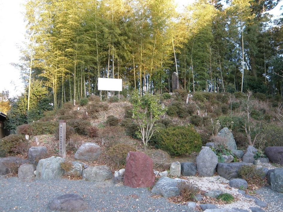 新城城