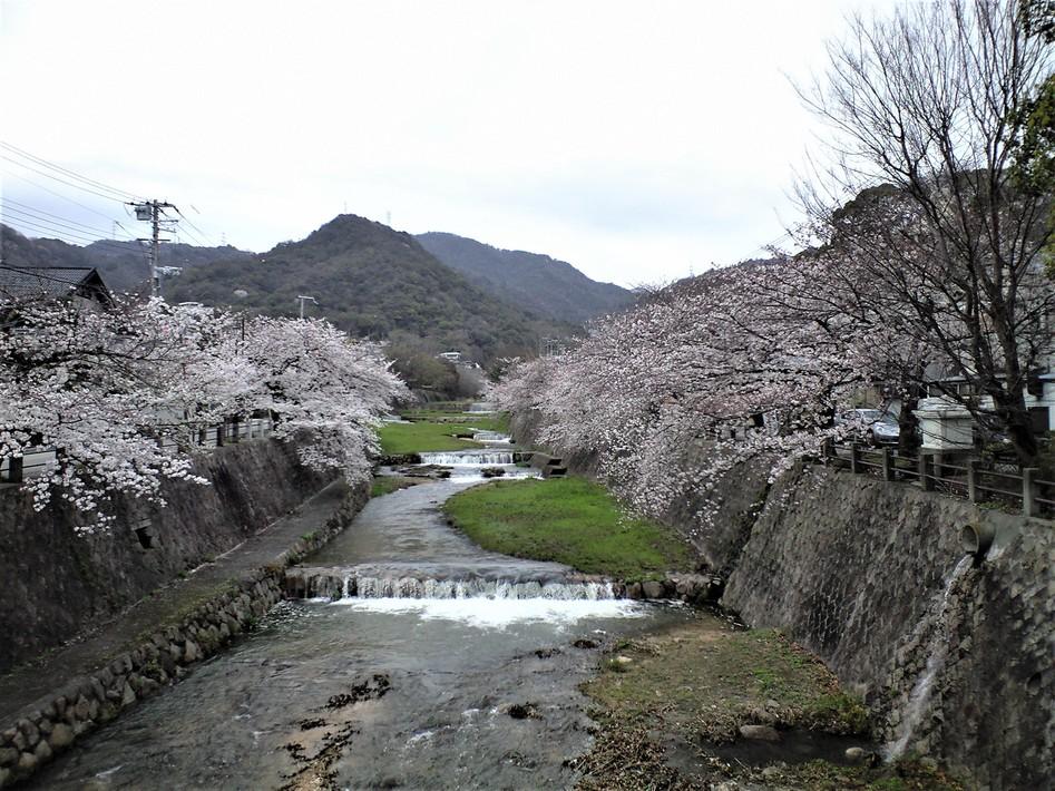 鷹尾城