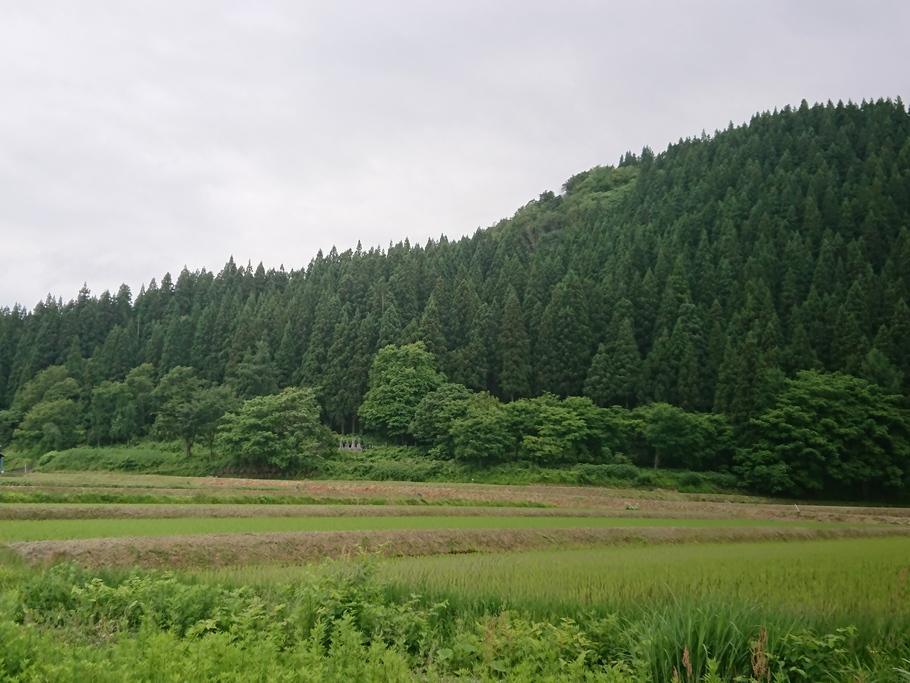 赤館