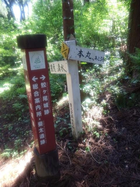 鮫ヶ尾城