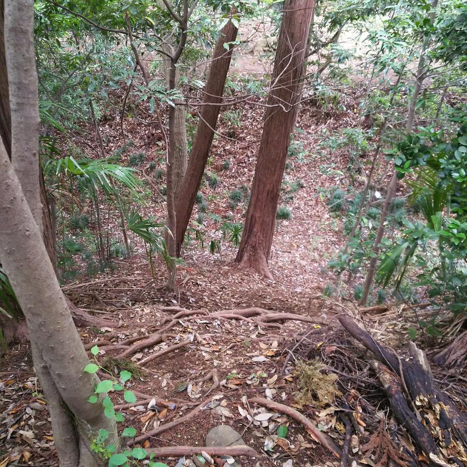 城山砦