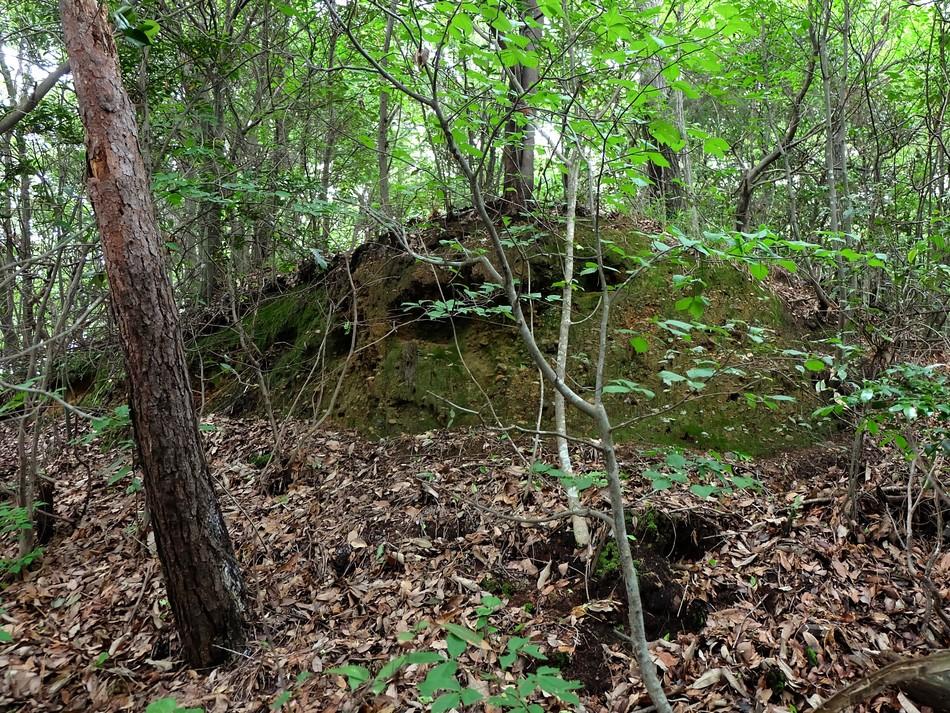 野村城