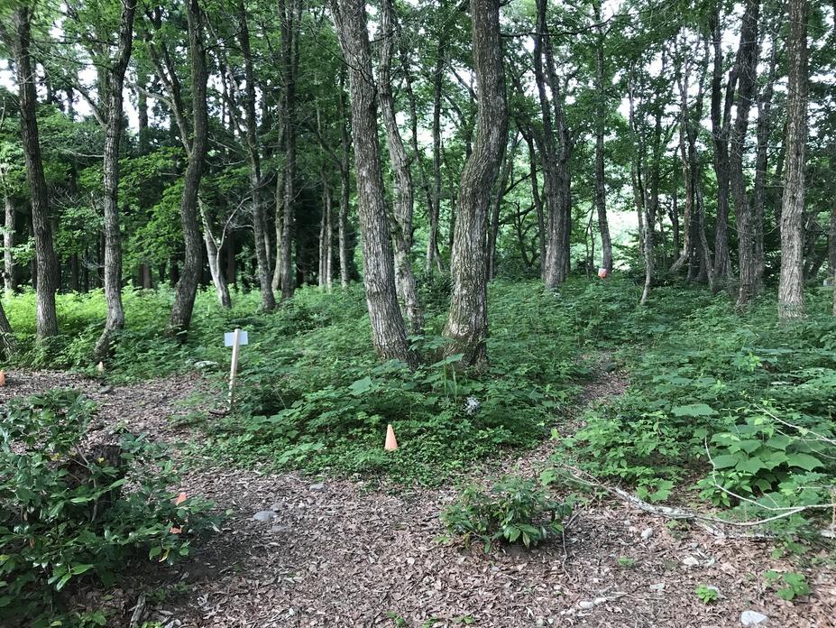 瀬戸丸山城