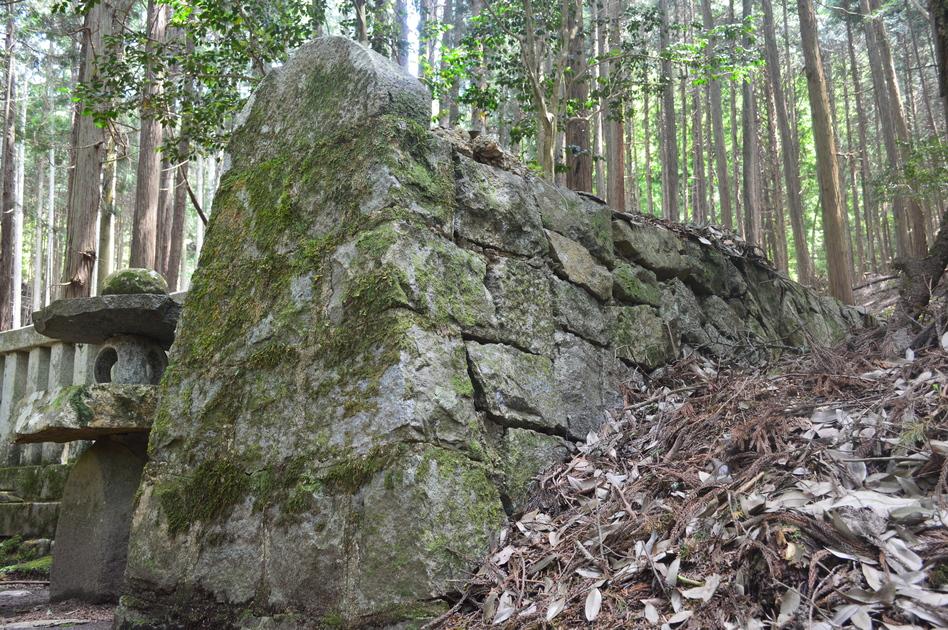 猿掛城