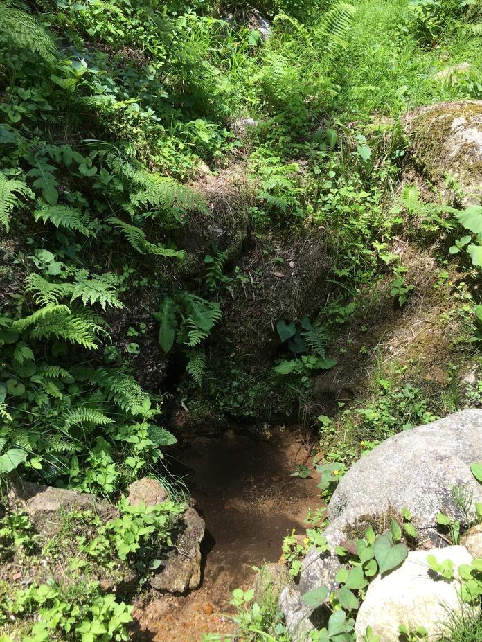 七尾城