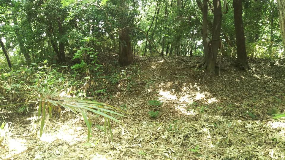 岩井山城