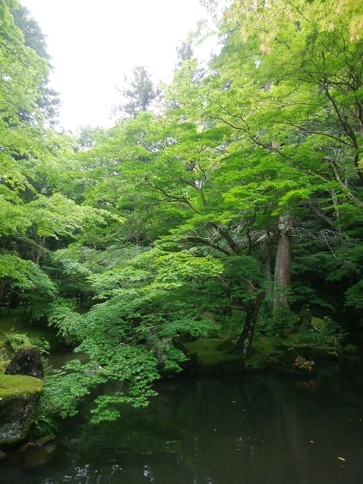 多気北畠氏城館