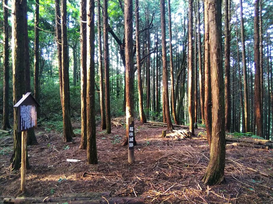福住城