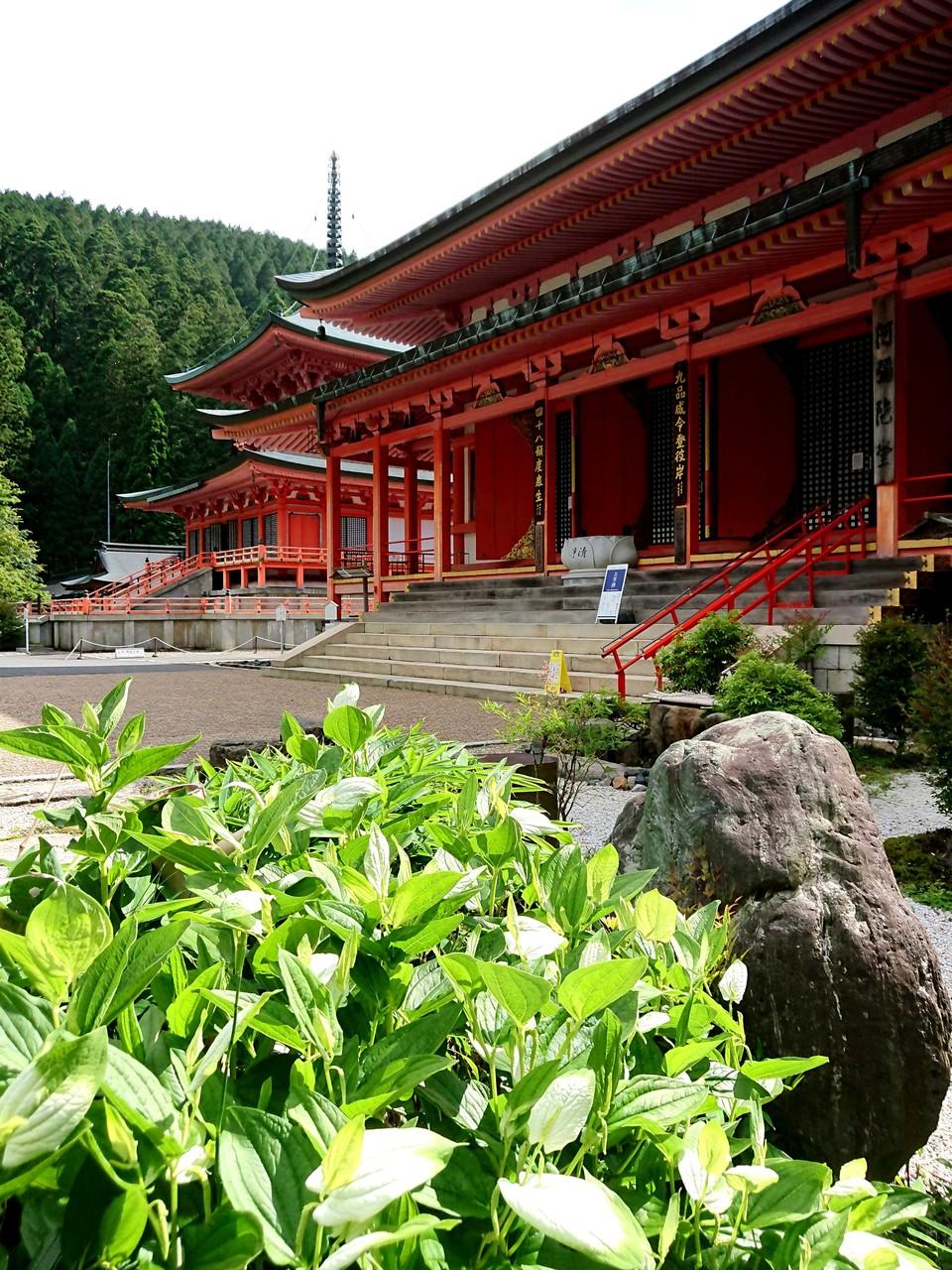 延暦寺