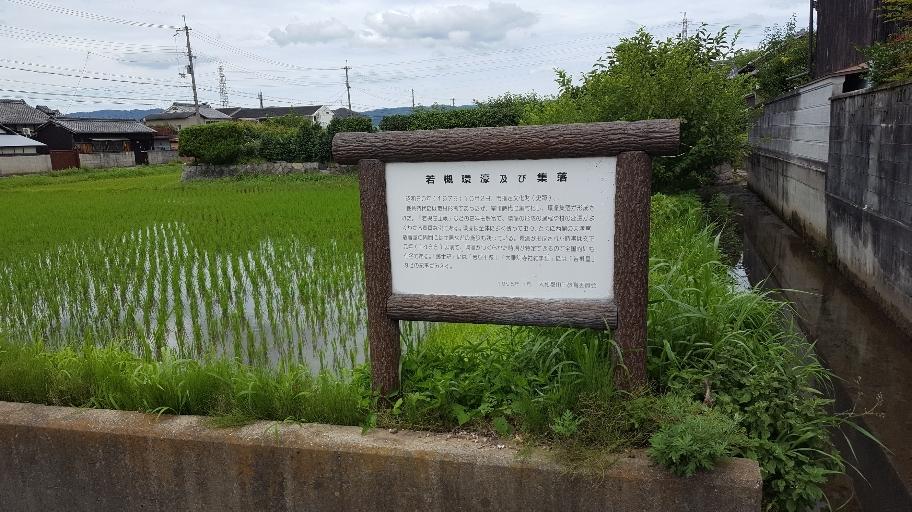 若槻環濠