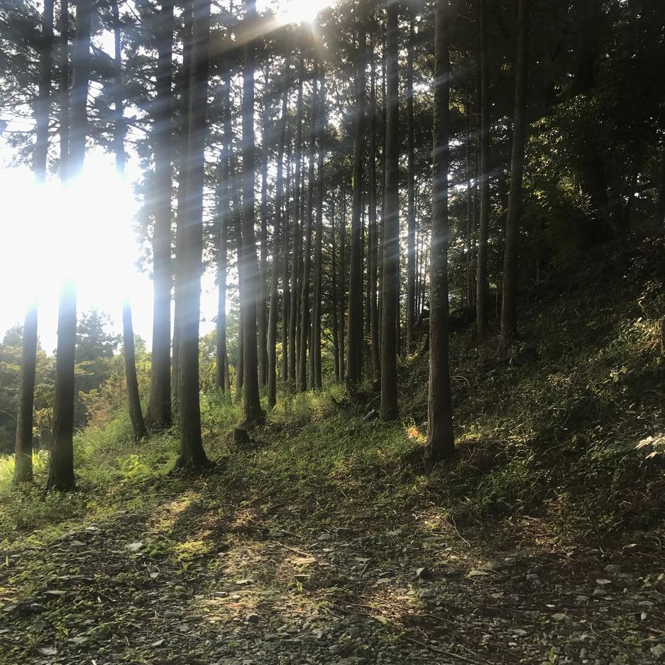 上山城