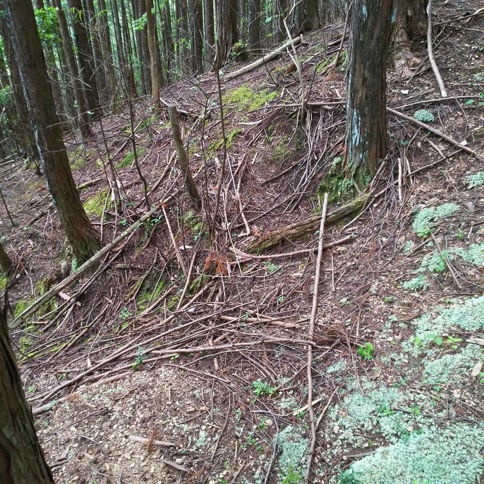 小川城