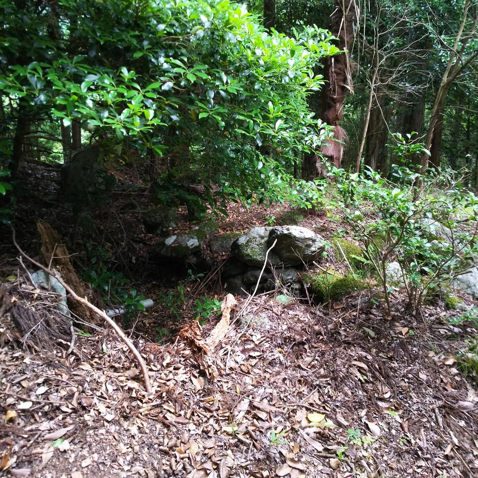 小川城