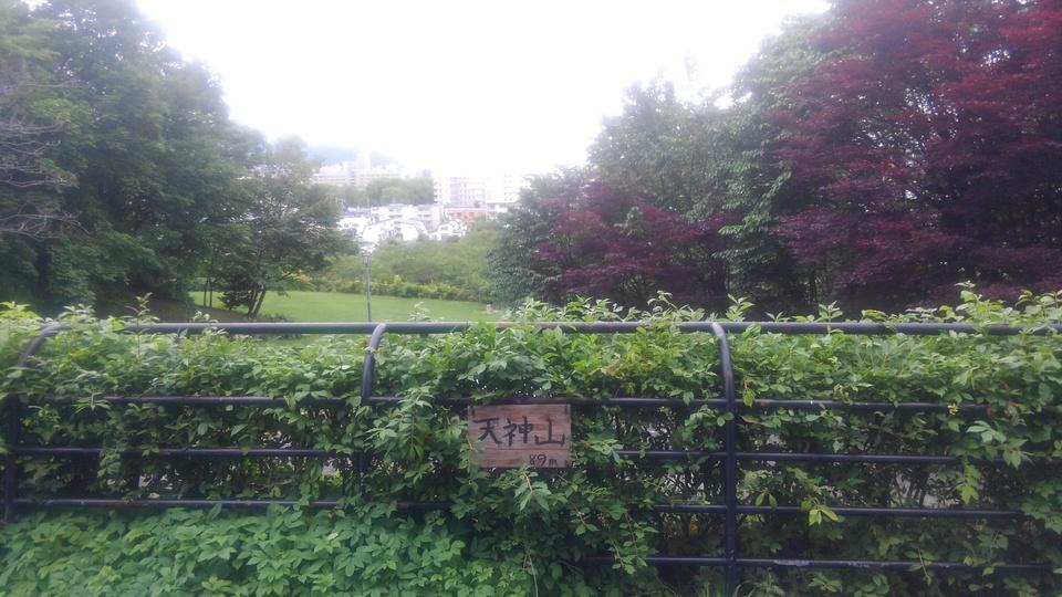 天神山チャシ