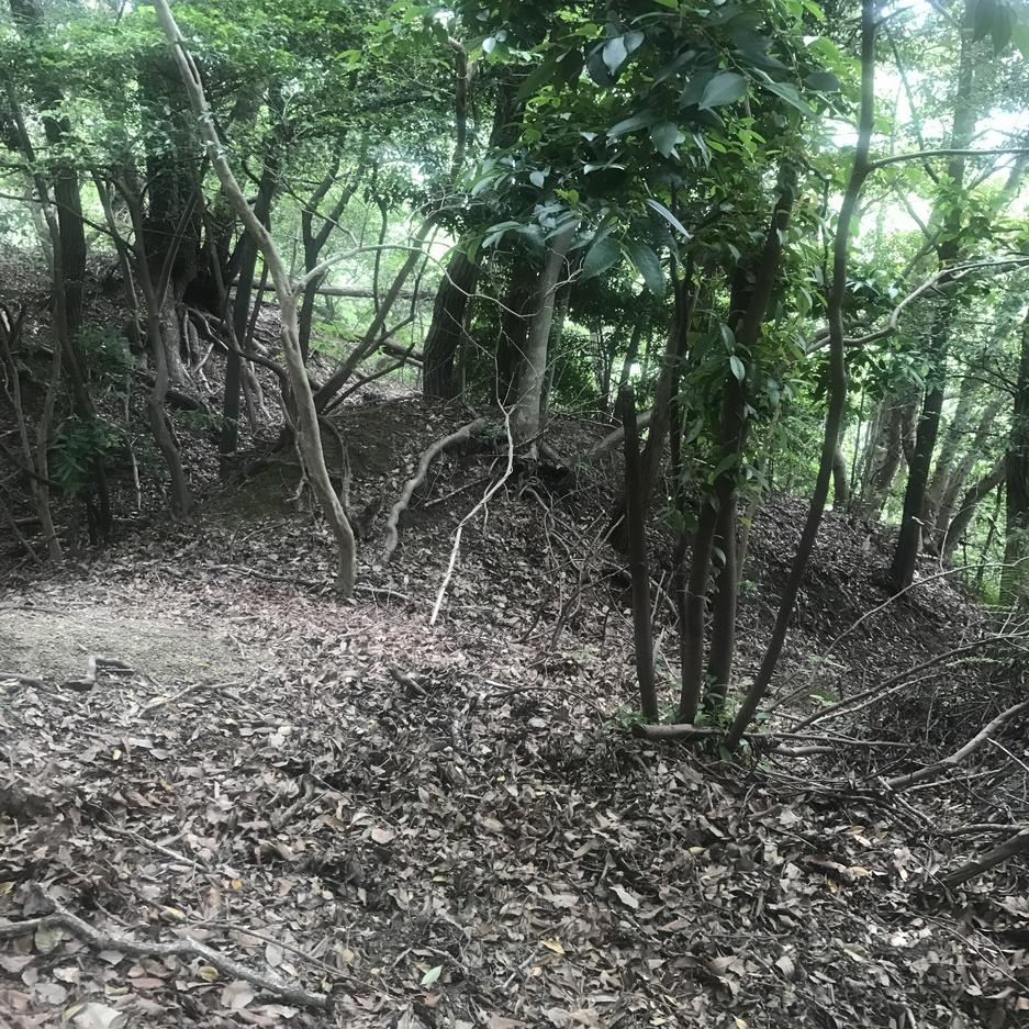 根福寺城